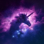 Unicorn Union!!