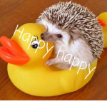 Happy_Worldzs