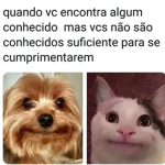 Geleia
