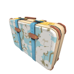 Voyager Suitcase