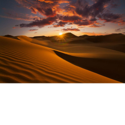 Desert showcase