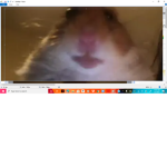 HEHHEHEHBELLA
