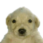 Keiz!