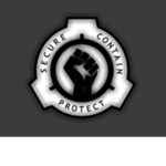 MOBILE TASK FORCE ) SCPF