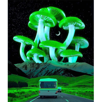 idk