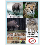 Stop WildLife Poaching!