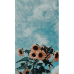 | ethereal |