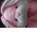 Boy but I like pink bunnies xD