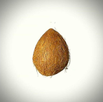 thrilling simulators