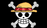 The strawhat pirates.....