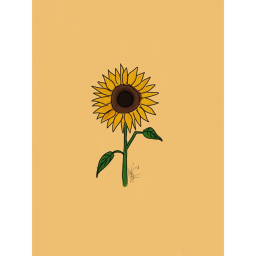 :p Sunflower Squad :p game!!