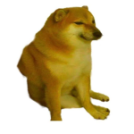 Dreams Doge Fan Club