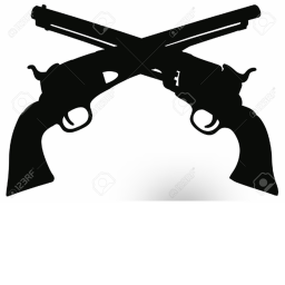S GUNS!🐈(UPD)