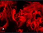 Red FiRE GANG