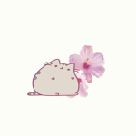 .xoxo.kitty.