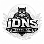 iDNS Official
