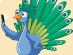 Feather and friends