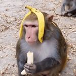 Group Thumbnail