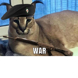 THE BIG FLOPPA WAR