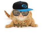 Tha koel ketz