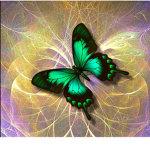 Emerald butterfly squad