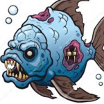 SUPER FISH PLAYZ YT