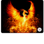 The Fire Phoenix Team
