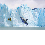 The Glacier Gang