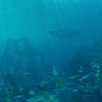 Under the Sea