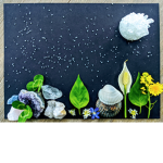 NATURE AGENCY