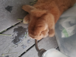 Robby Drinking Water Studios