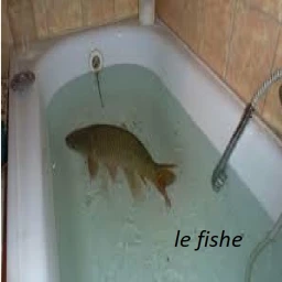 FIshy fishy fish icon