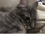 chloe !!
