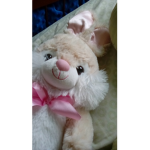 Bunnys up