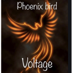 Phoenix voltage