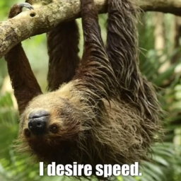 Brother, I Desire Speed