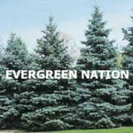 Evergreen Nation