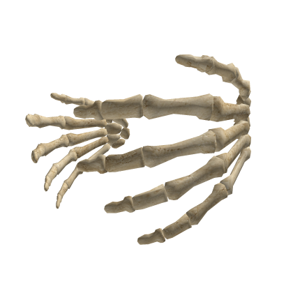 Skeleton Hands Cover
