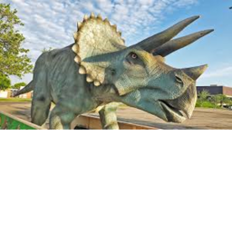 Dino finders (beta)