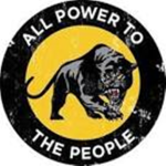 ~ The Black Panther Party ~