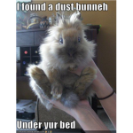 Dustbunny studios