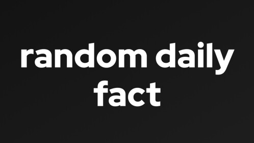 Daily Random Fact