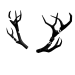 Void Antlers