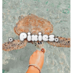 。Pixies。