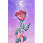 Roses beautiful petals