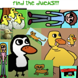find the ducks