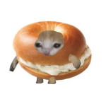 livelaughbagel