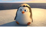 PEGUIN GROUP UwU