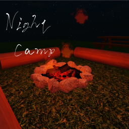Night Camp