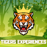 TIGERS EXPERIENCES